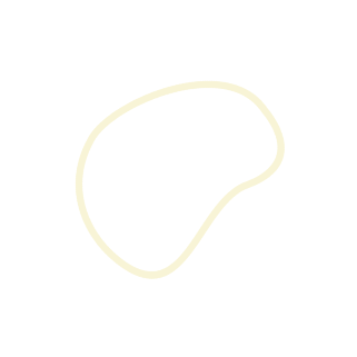 Webサイトの企画・デザイン・コーディング・メンテナンスの全てを行います。