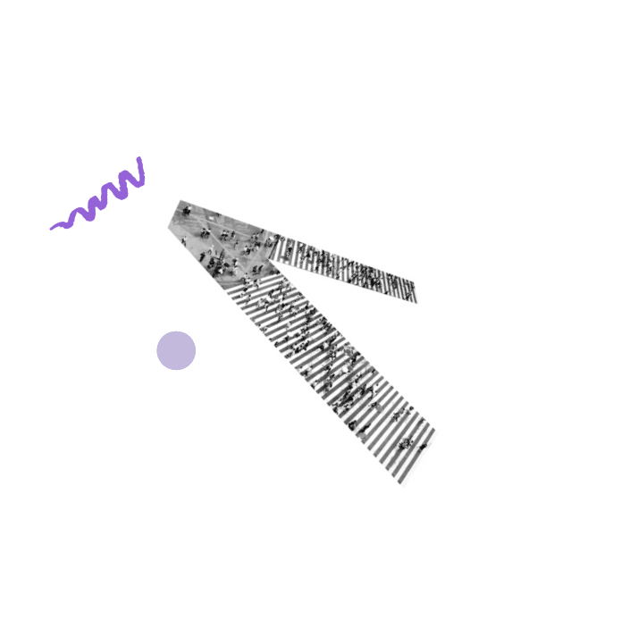 アントワープ株式会社_実績