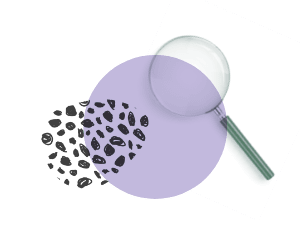 アントワープ株式会社_豊富なネットワーク