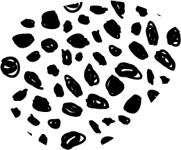 アントワープ株式会社