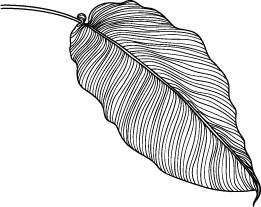 アントワープ株式会社